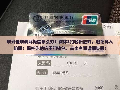 收到催收调解短信怎么办