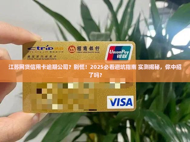 江苏网贷信用卡逾期公司