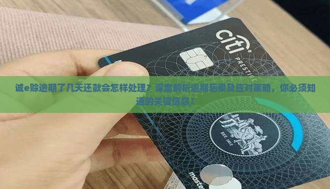 诚e赊逾期了几天还款会怎样处理