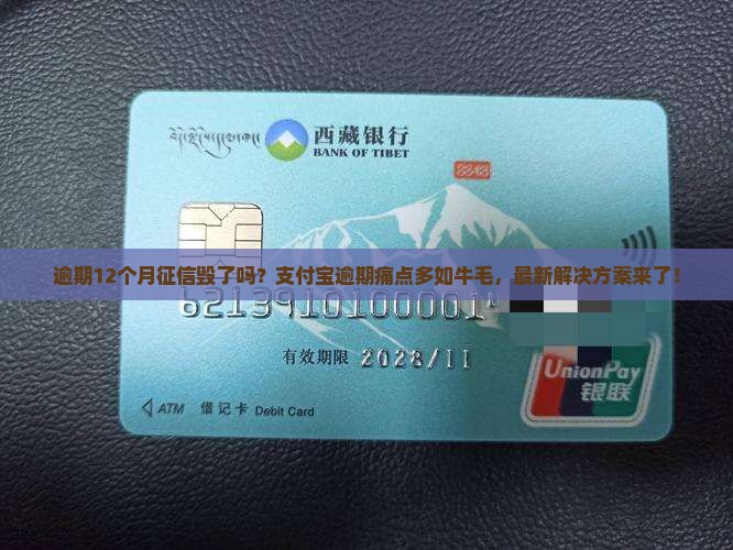 支付宝逾期12个月征信怎么办
