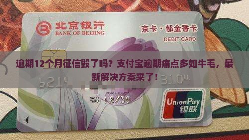 支付宝逾期12个月征信怎么办
