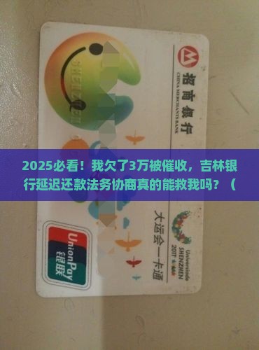 吉林银行延迟还款法务协商流程详解
