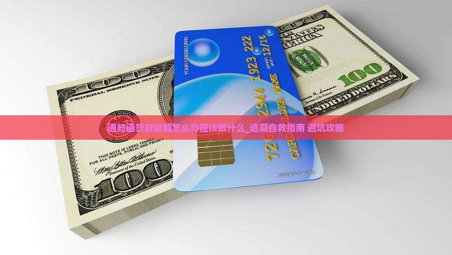 通知函贷款逾期怎么办应该做什么