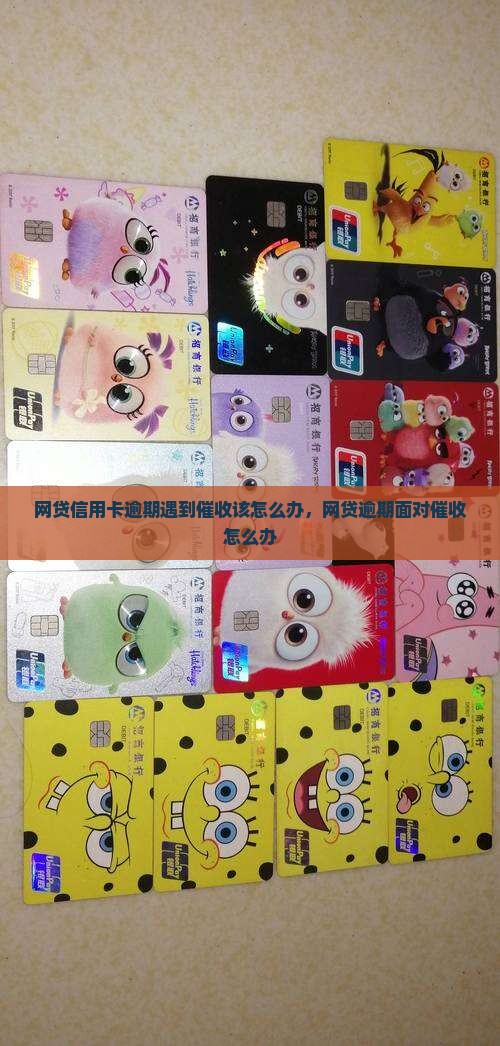 网贷信用卡逾期遇到催收该怎么办