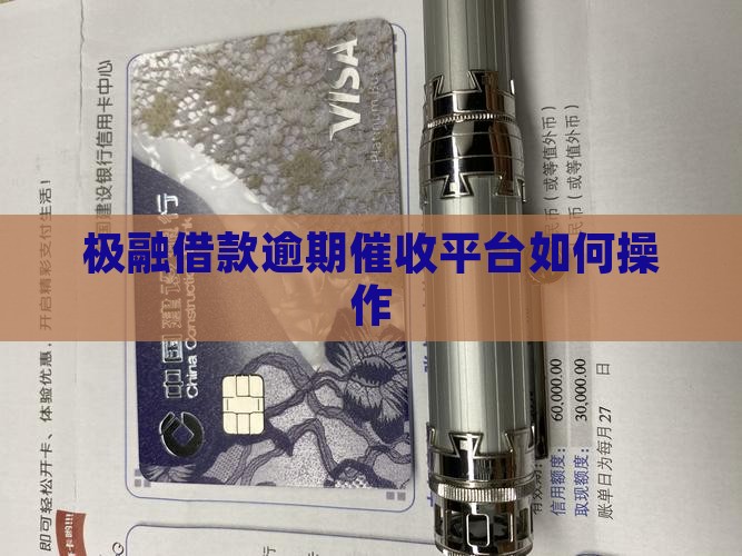 极融催收是哪个平台如何操作