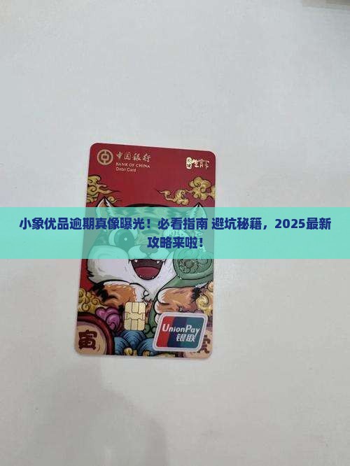 小象优品逾期走流程