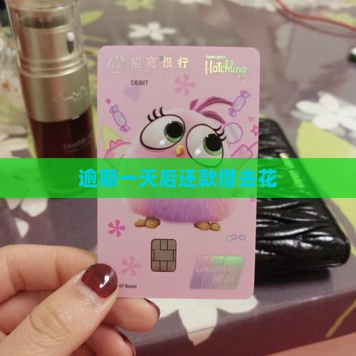 借去花逾期一天后还款