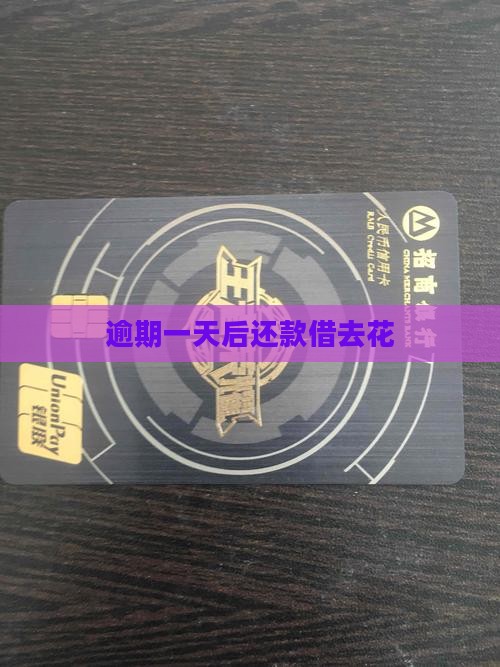 借去花逾期一天后还款
