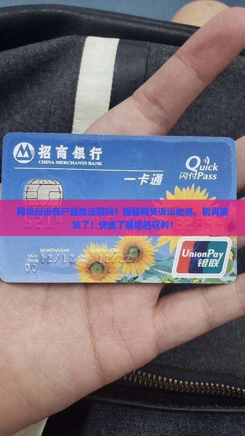 网贷起诉在户籍地法院吗
