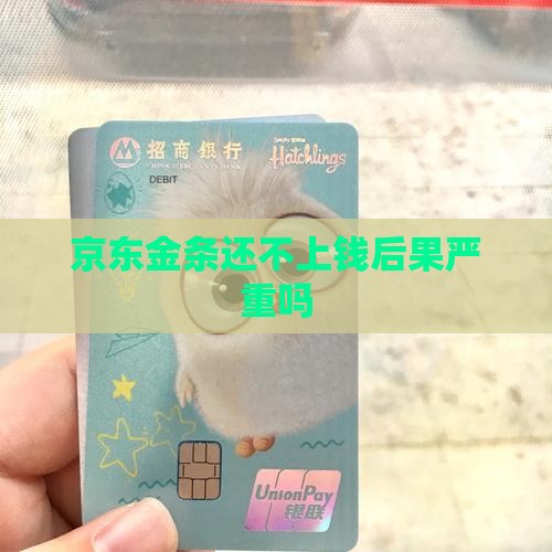 京东金条还不上钱后果严重吗