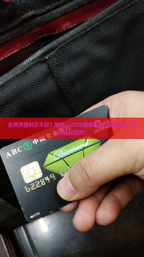 全民贷暂时还不起会怎么样