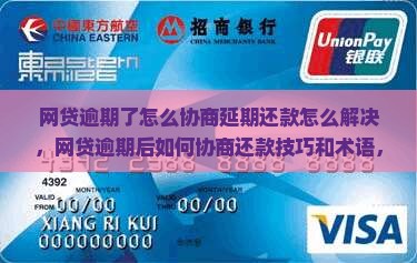 网贷逾期了怎么协商延期还款怎么解决
