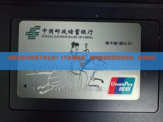 沈阳信用卡逾期咨询热线怎么找