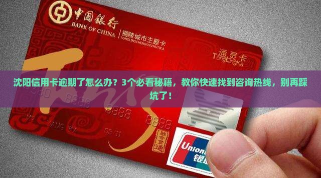 沈阳信用卡逾期咨询热线怎么找