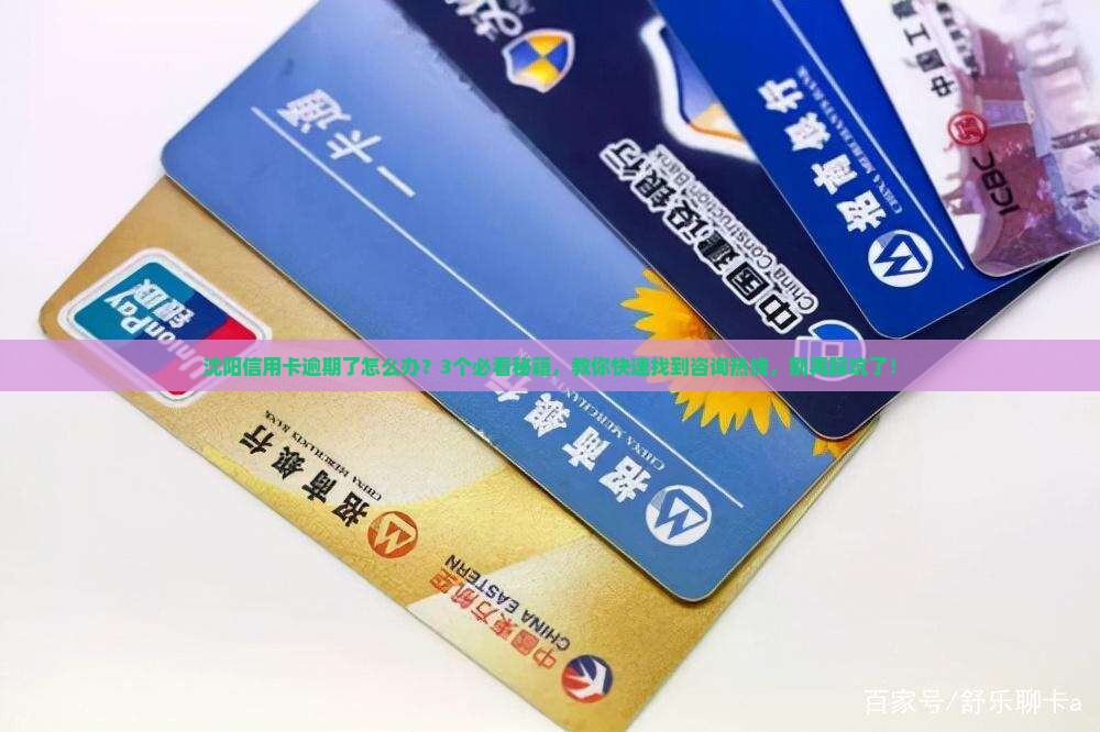 沈阳信用卡逾期咨询热线怎么找