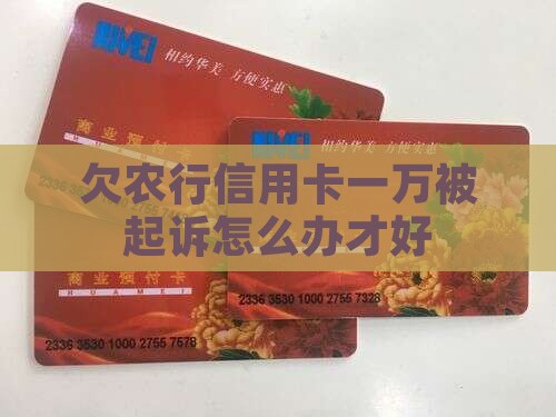 欠农行信用卡一万被起诉怎么办才好