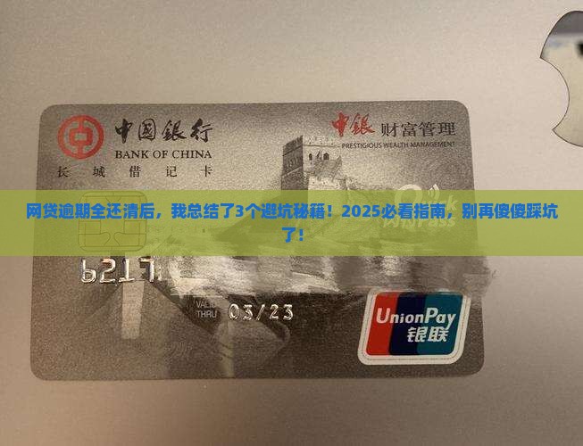 网贷逾期全部归还怎么办