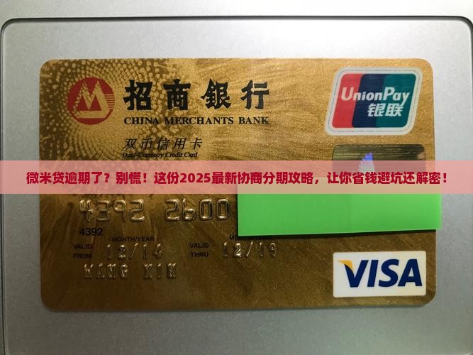 微米贷逾期后如何进行协商分期还款