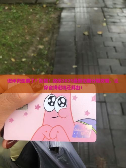 微米贷逾期后如何进行协商分期还款