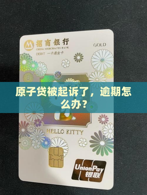 原子贷说已经起诉我了怎么办