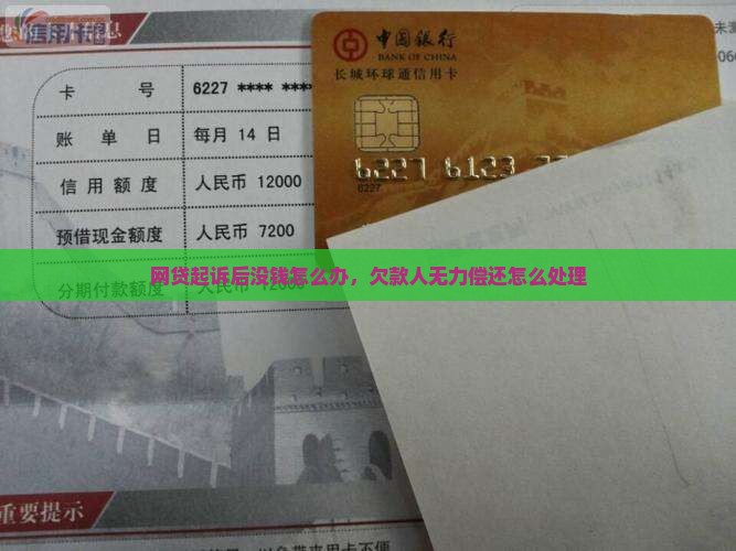 网贷起诉后欠款人无力偿还怎么办