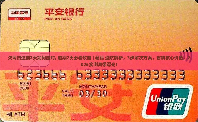 欠网贷逾期2天如何应对