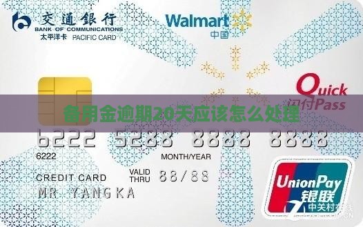 备用金逾期20天应该怎么处理