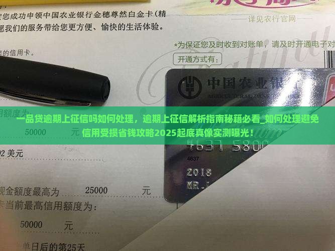 一品贷逾期上征信吗如何处理