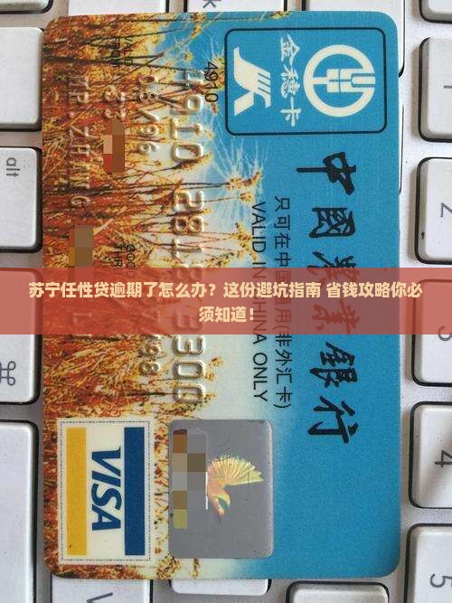 苏宁任性贷逾期可以如何处理
