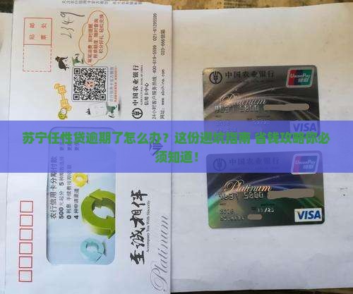 苏宁任性贷逾期可以如何处理
