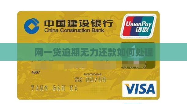 网一贷逾期无力还款如何处理