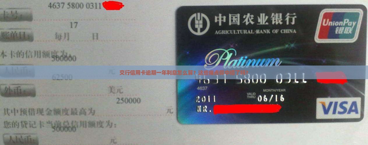 交行信用卡逾期一年利息如何计算
