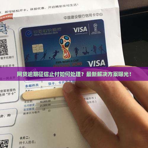 网贷逾期征信止付如何处理