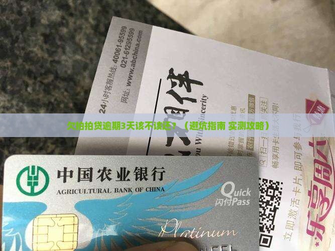 欠拍拍贷逾期多久应该还款
