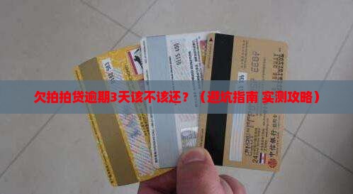 欠拍拍贷逾期多久应该还款