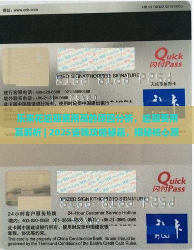 乐来花逾期费用高的原因分析