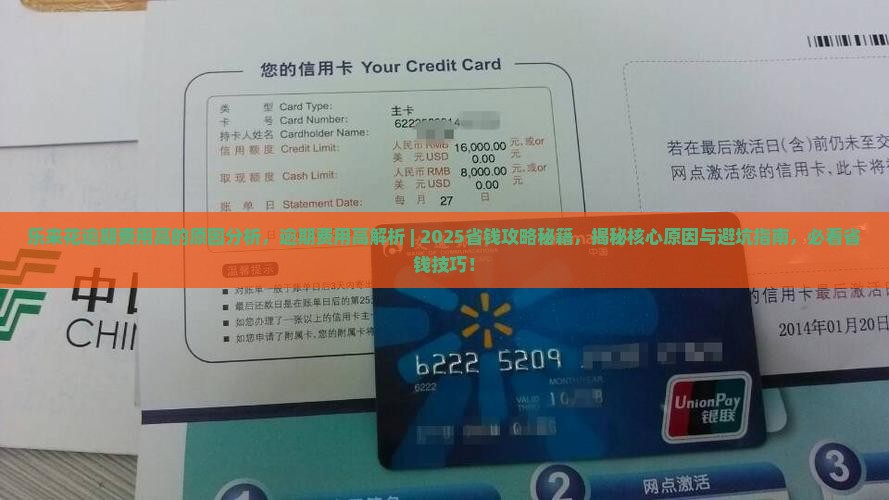 乐来花逾期费用高的原因分析