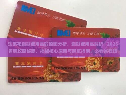 乐来花逾期费用高的原因分析