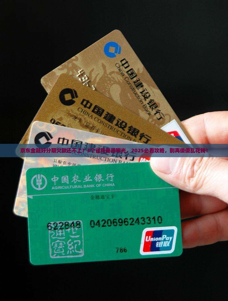 京东金融好分期的钱还不上