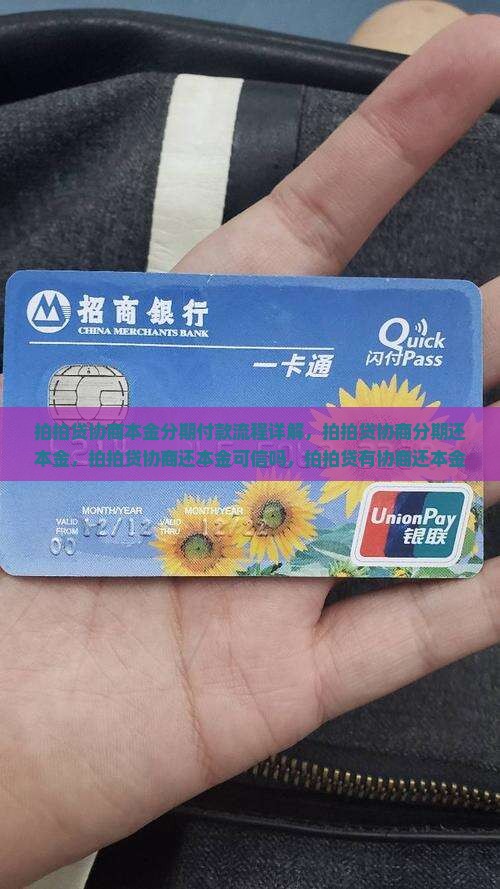拍拍贷协商本金分期付款流程详解