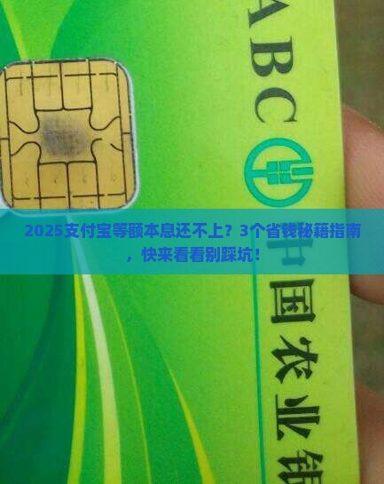 支付宝等额本息还不上怎么办