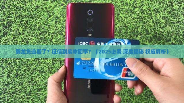 翼龙贷贷款逾期会上征信吗