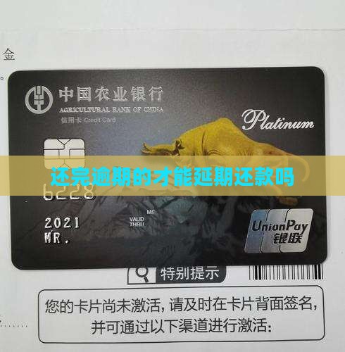还完逾期的才能延期还款吗