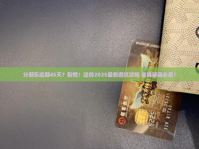 分期乐逾期45天会怎样