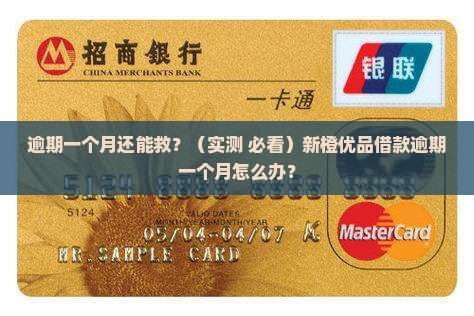 新橙优品借款逾期一个月怎么办
