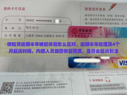 微粒贷逾期半年被起诉后怎么应对