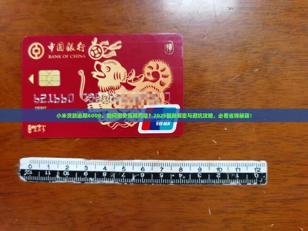 小米贷款逾期6000