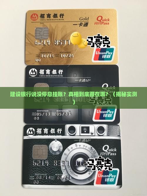 建设银行说没有停息挂账的原因是什么