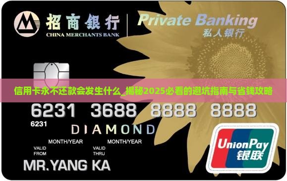 信用卡永不还款会发生什么