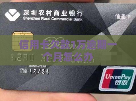 信用卡欠款1万逾期一个月怎么办
